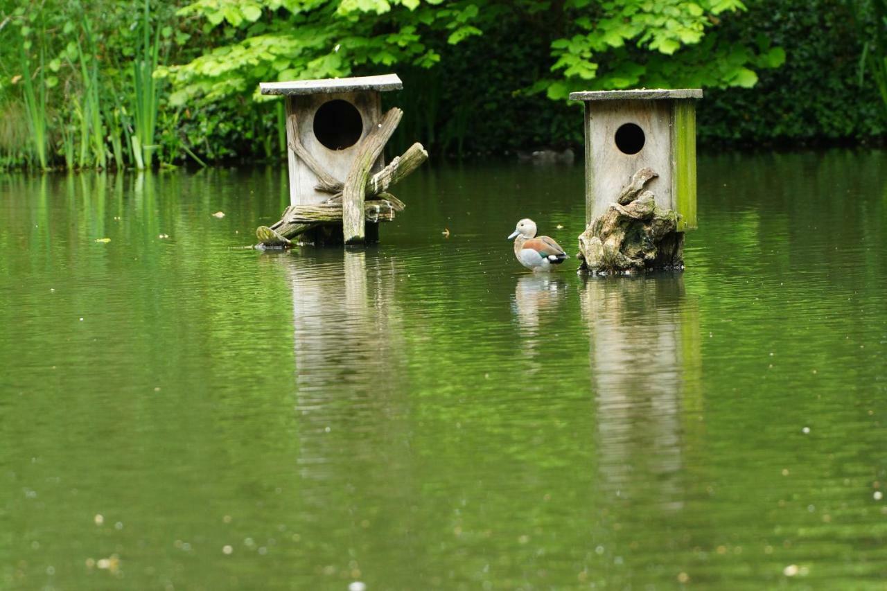 Gaestewohnung Hardinghaus Am Teich 瓦伦多夫 外观 照片