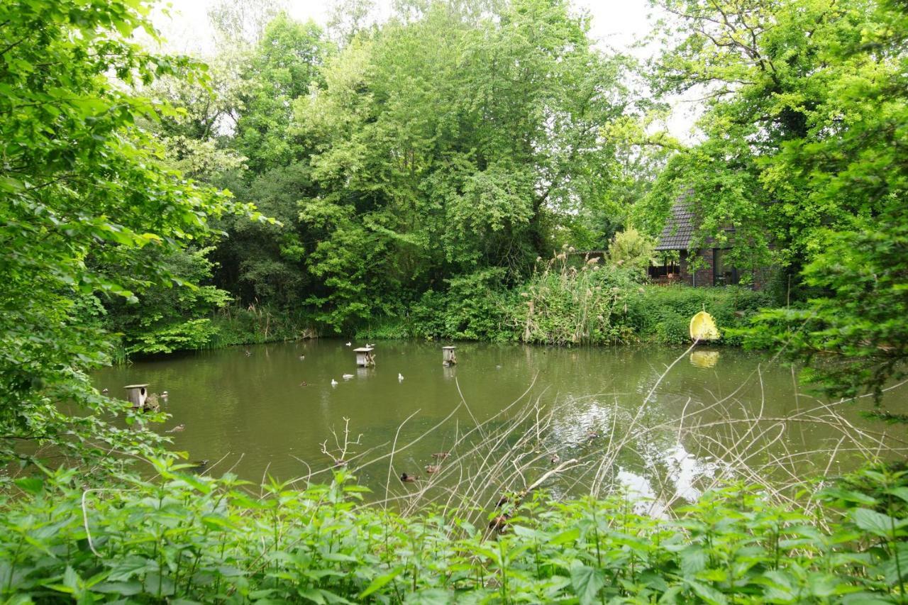Gaestewohnung Hardinghaus Am Teich 瓦伦多夫 外观 照片